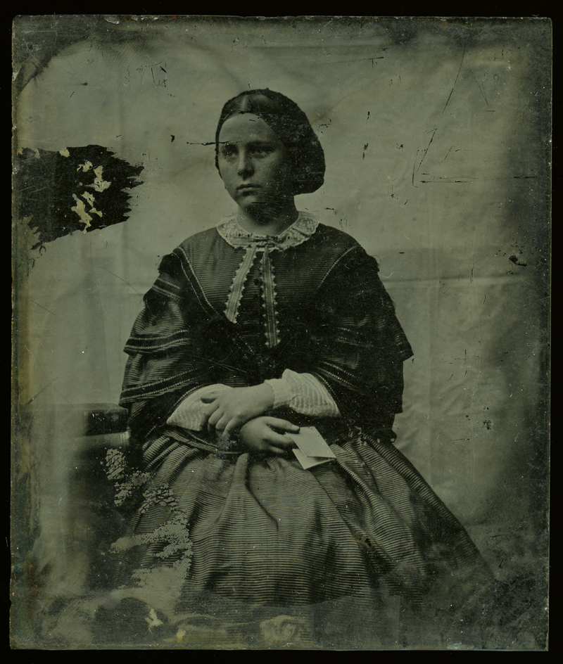 Shackleton // County Kildare :: Shackleton lady